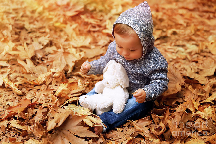Cute little baby in autumn park Photograph by Anna Om