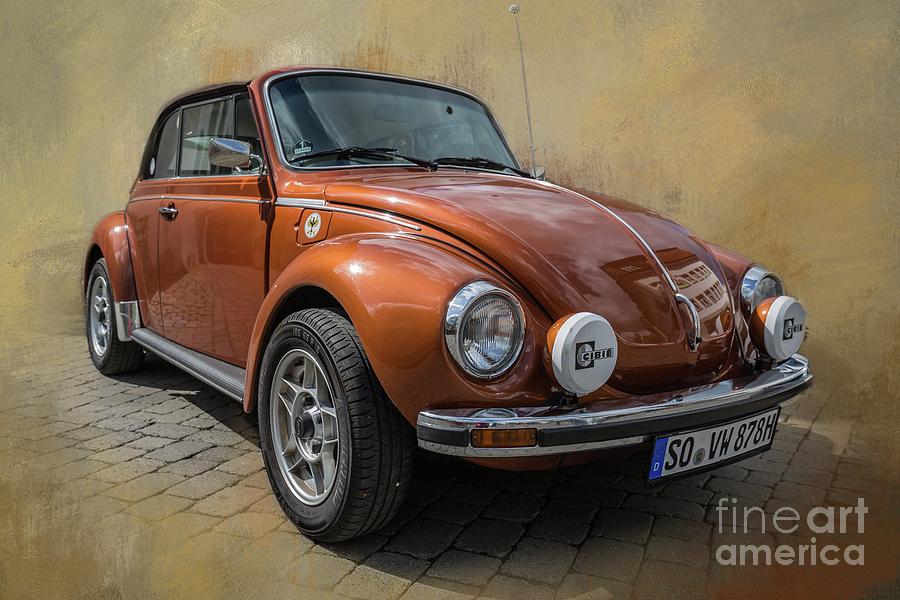 Cute Old Beetle Photograph by Eva Lechner