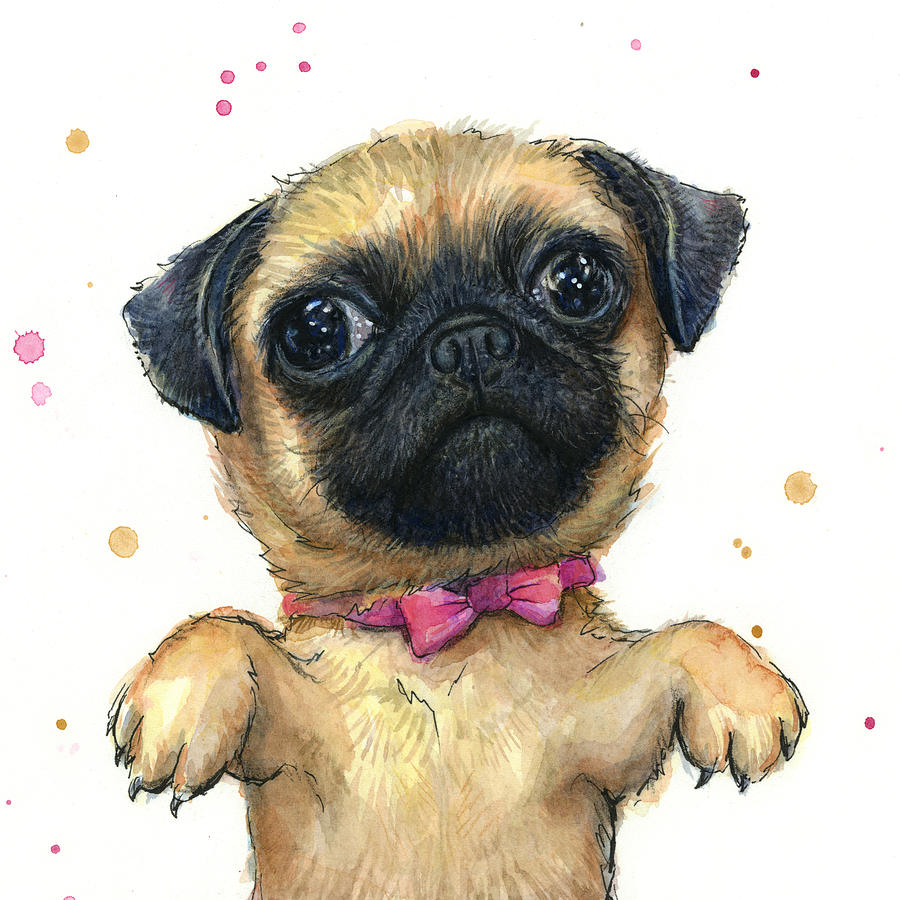 Pug Painting - Cute Pug Puppy by Olga Shvartsur