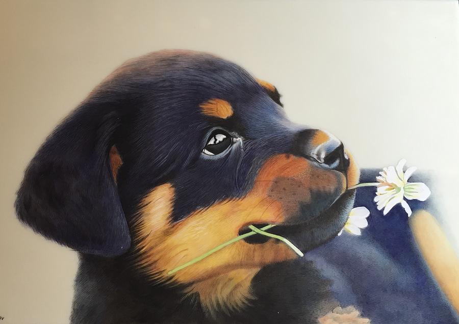 Cute puppy Painting by Ankit - Pixels