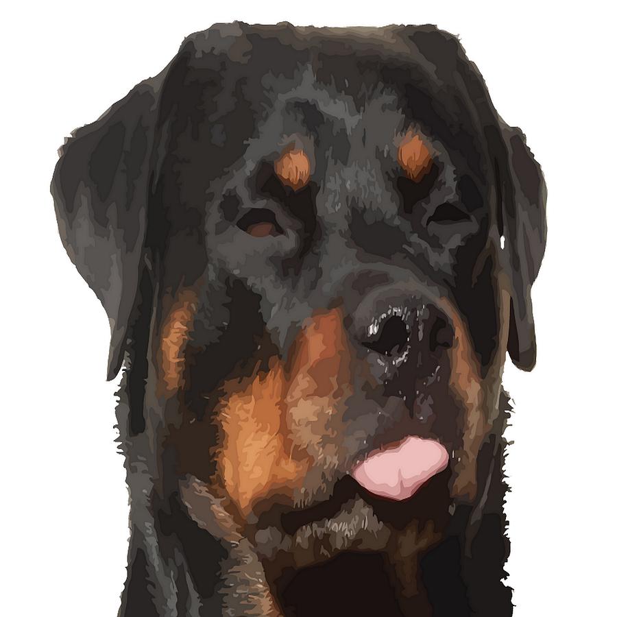 Cute Rottweiler With Tongue Out Photograph by Taiche Acrylic Art