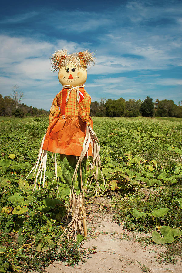 Pumpkin Photograph - Cute Scarecrow by Debra Forand