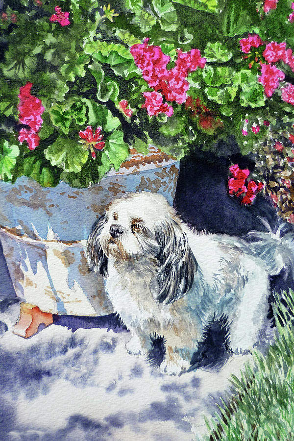 Cute Shih Tzu Dog Under Geranium  Painting by Irina Sztukowski