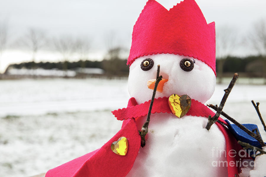 Cute snowmen dressed as a king with crown and cape Photograph by Simon Bratt