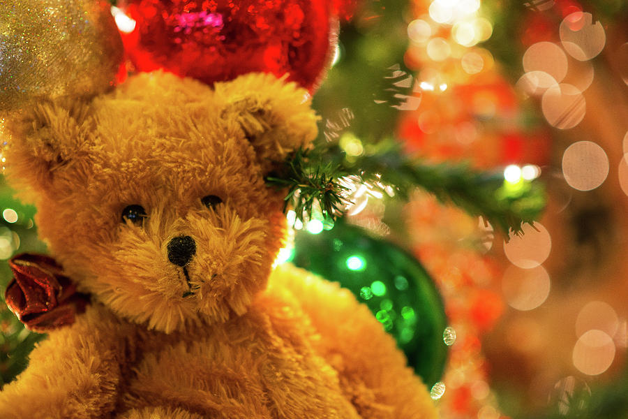 teddy bear christmas ornaments