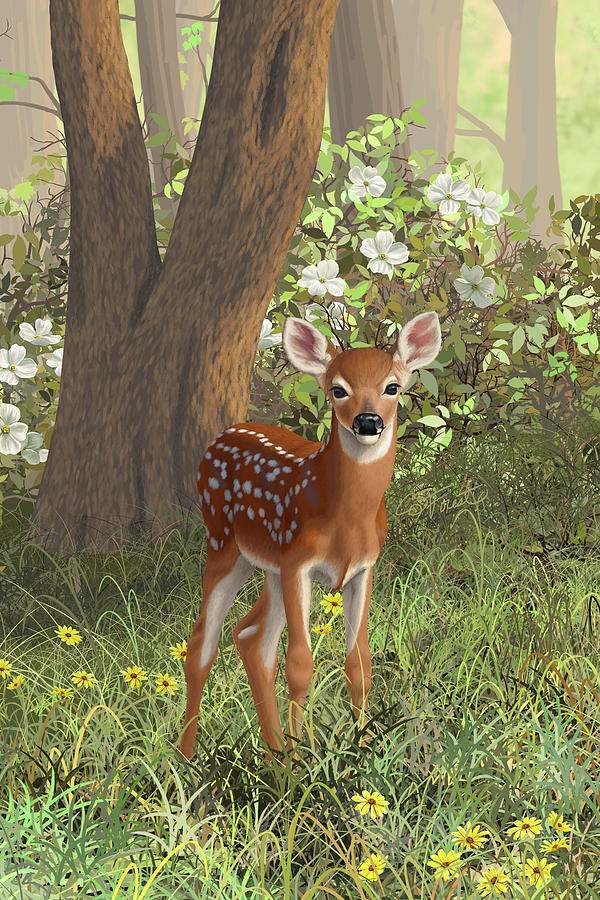 Cute Whitetail Fawn Painting by Crista Forest