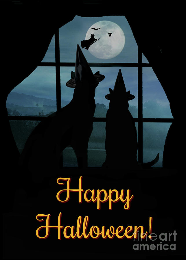 Cute Witch, Cat and Dog Happy Halloween Card Photograph by Stephanie Laird