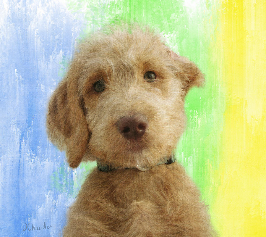 Cuter Than Cute Painting by Diane Chandler