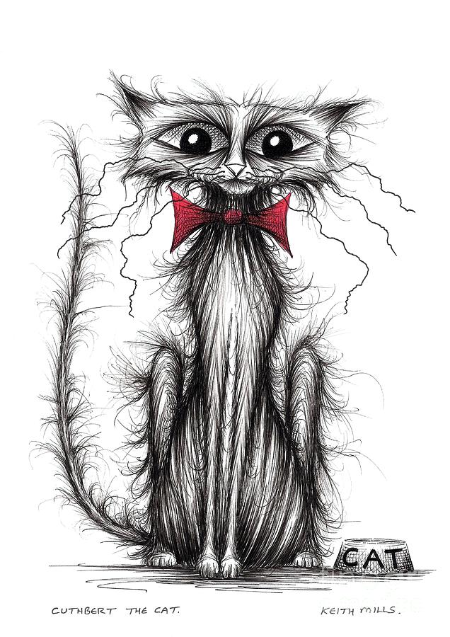 Cuthbert the cat Drawing by Keith Mills