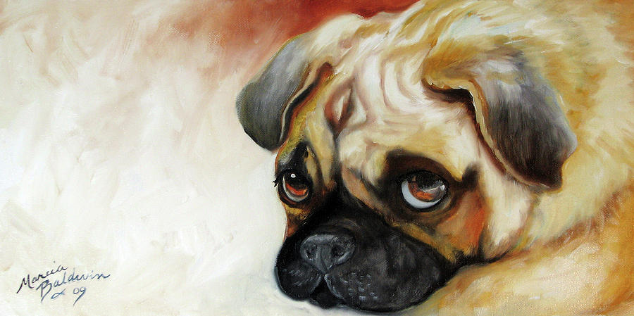 Pug Painting - Cutie Pie Pug by Marcia Baldwin