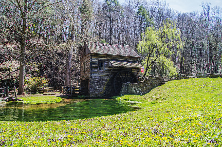 Cuttalossa Mill in the Springtime Photograph by Bill Cannon
