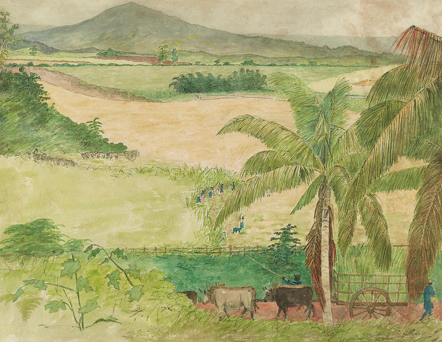 Cutting Cane, Jamaica Painting by Mountain Dreams