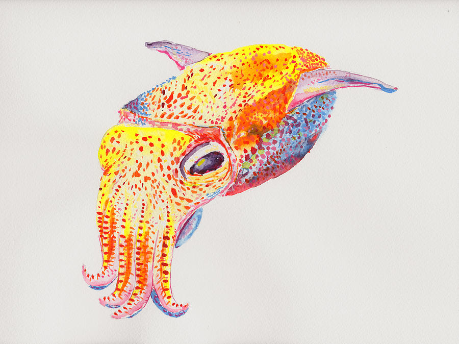 Cuttle Up Painting by Christopher Smart - Fine Art America