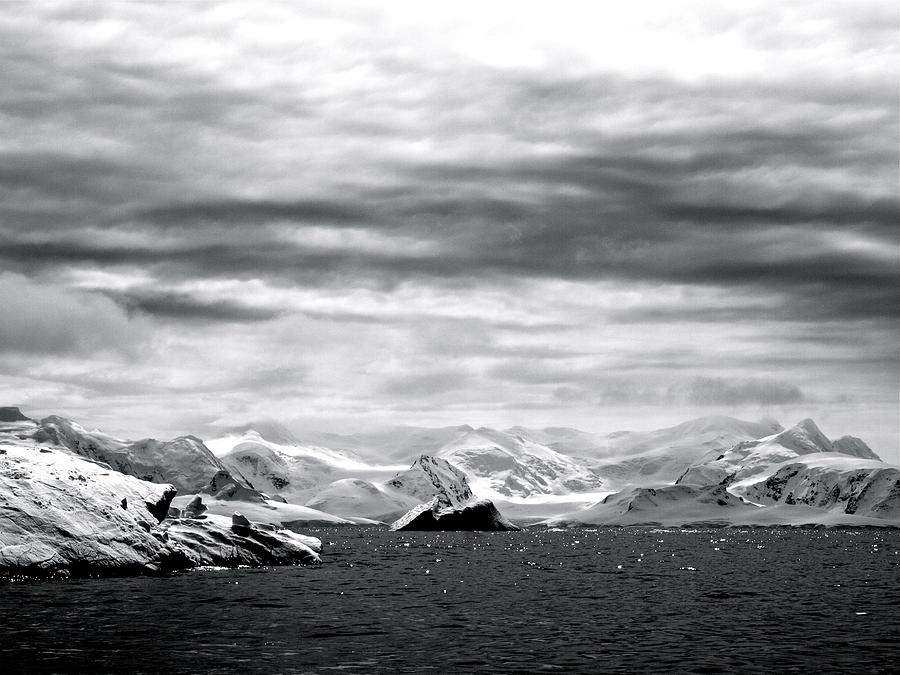Cuverville Island Antarctica 106 Photograph by Per Lidvall