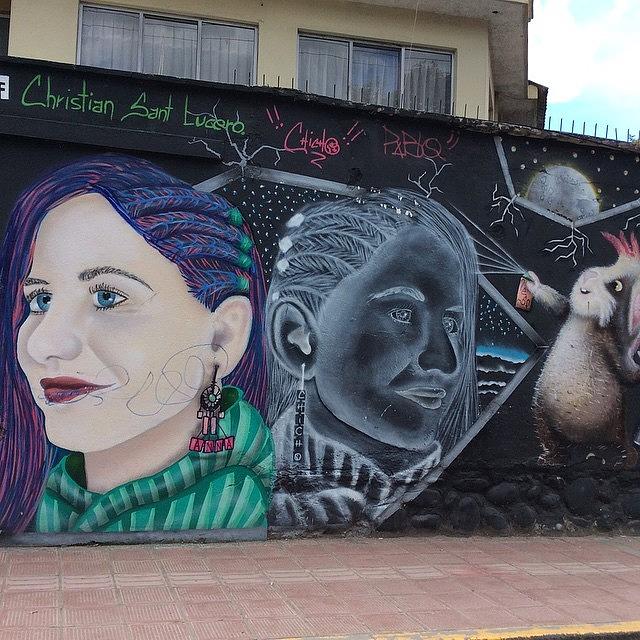 Streetart Photograph - #cuy #guineapig #pintor #painter by Vanessa Anderson