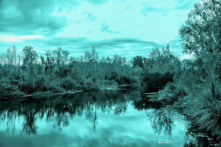 Cyan Dreaming - Sarasota Pond Photograph by Madeline Ellis