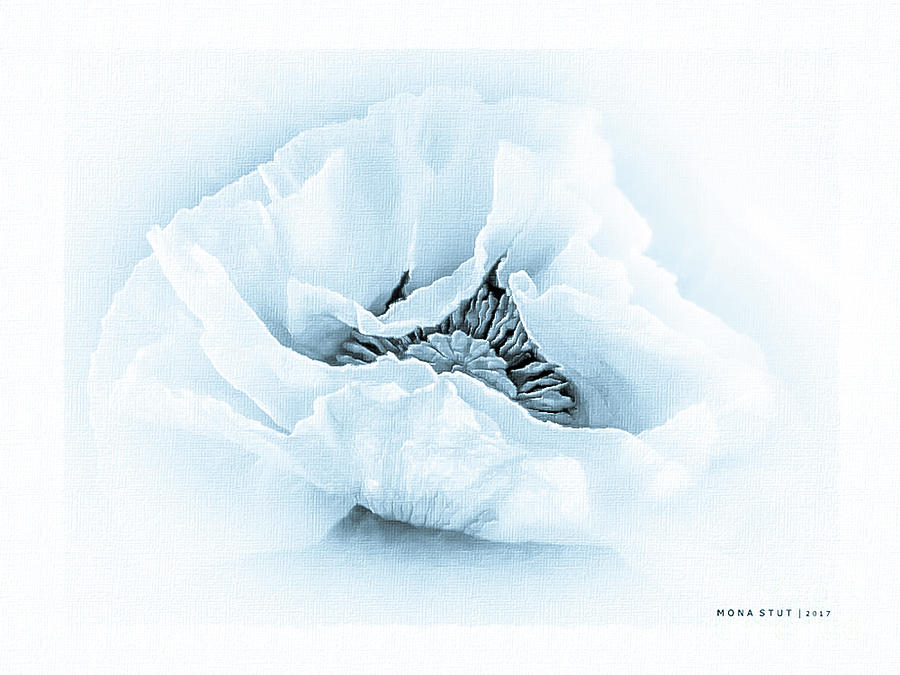 The Beauty Of Cyanotype Poppy Digital Art by Mona Stut