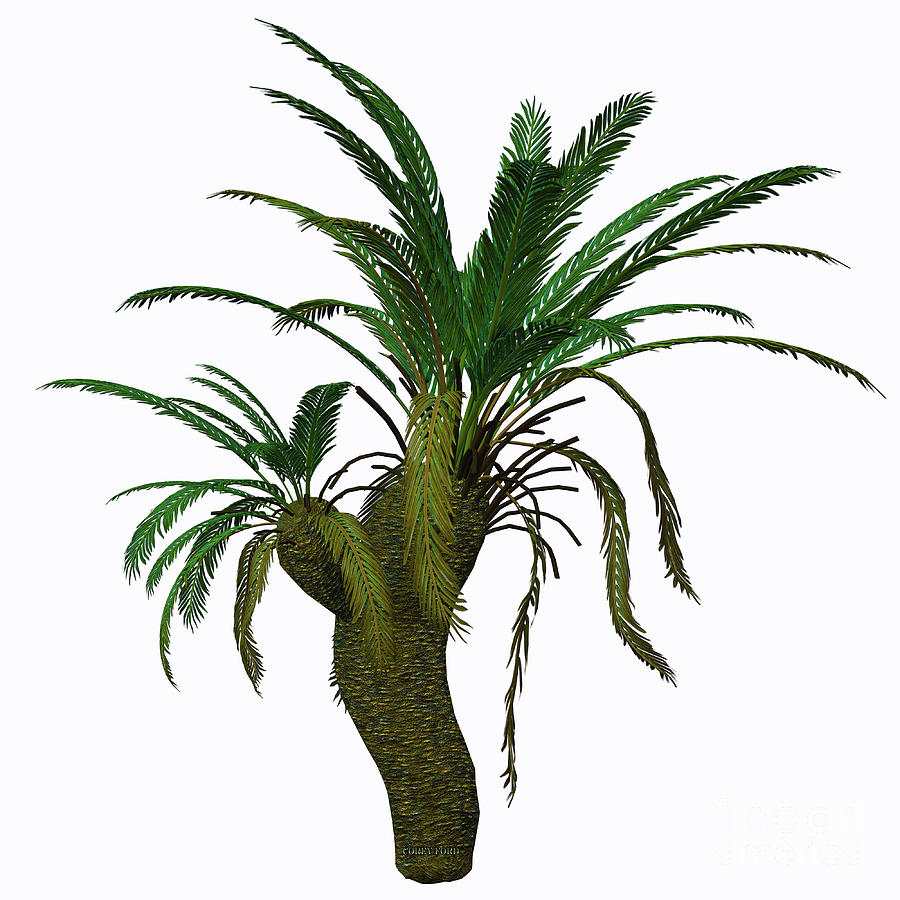 Cycad Seed Plant Painting by Corey Ford