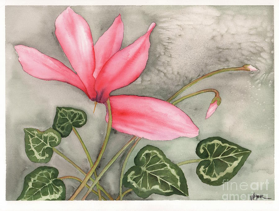 Cyclamen Painting by Hilda Wagner