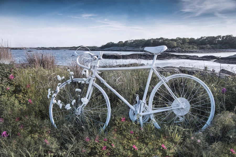 Cycle By The Sea Photograph by Robin-Lee Vieira