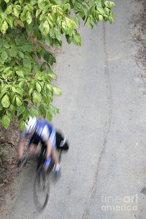 Cyclist Blur through Summer Leaves in Washington DC Photograph by William Kuta