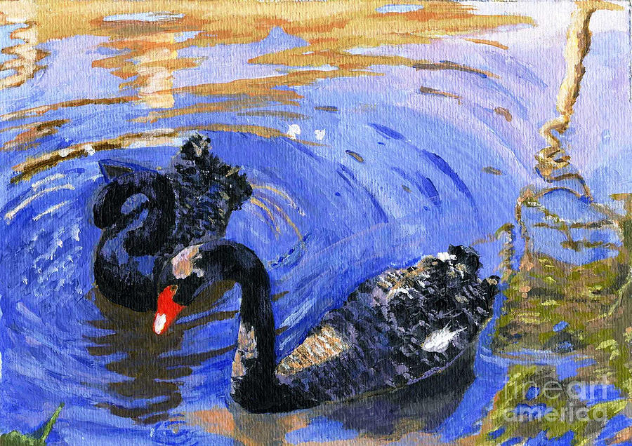Swan Painting - Cygnus Atratus by Lynne Reichhart