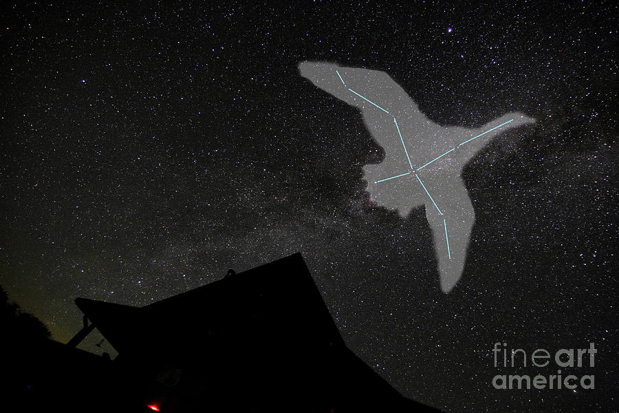 Cygnus Constellation Photograph by Larry Landolfi