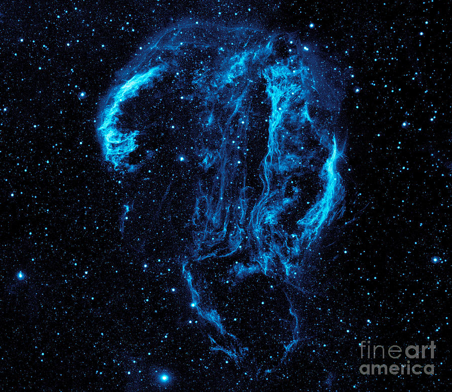 Cygnus Loop Nebula Uv Photograph by Celestial Images