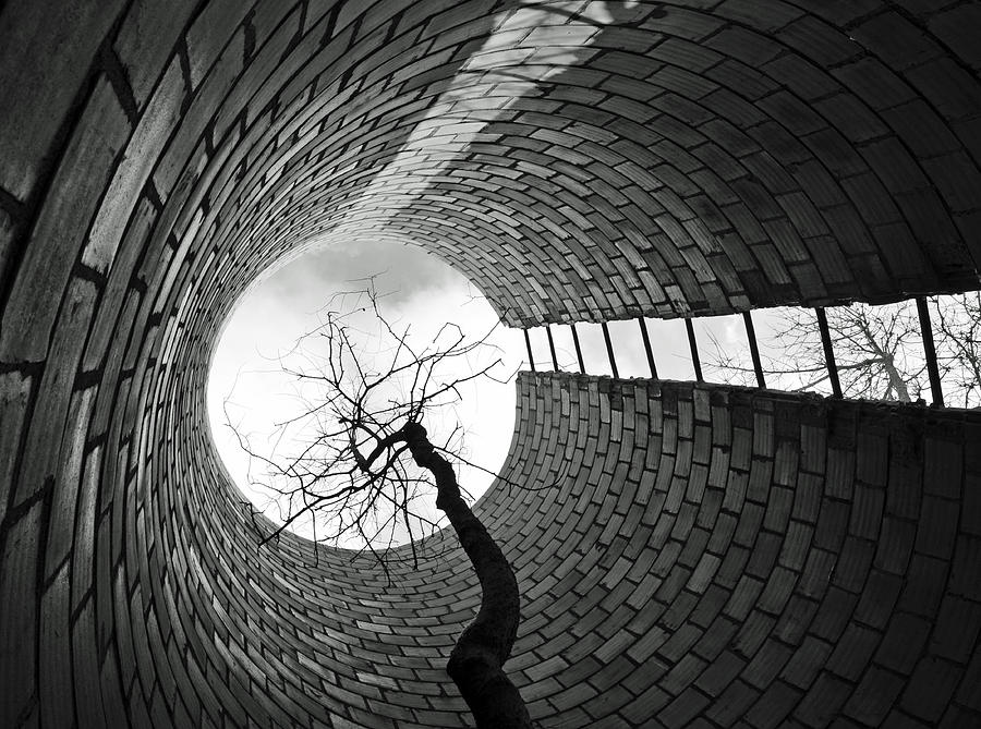 Cylindrical Photograph by Tom Druin