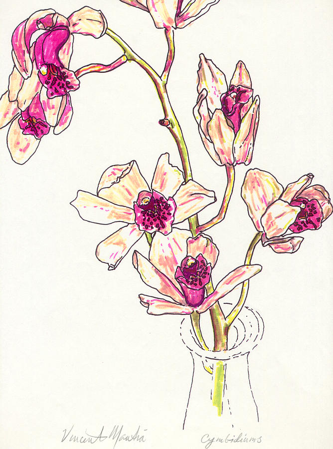 Hand Drawing Orchid Flower Sketch Stock Illustration 197239562 |  Shutterstock