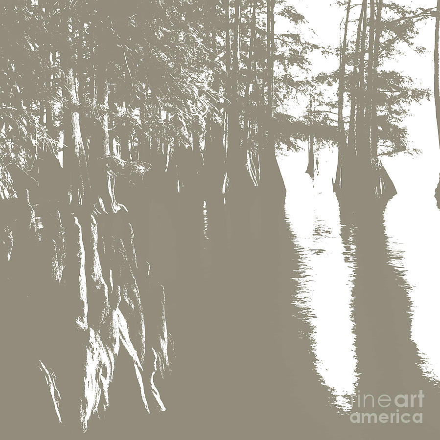 Cypress Bayou Mixed Media by Francelle Theriot