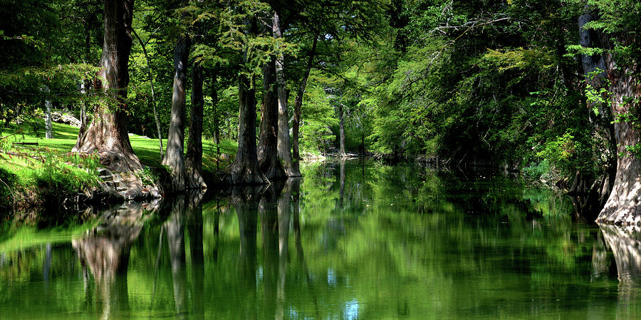 Cypress Creek Texas Photograph by Steve Snyder