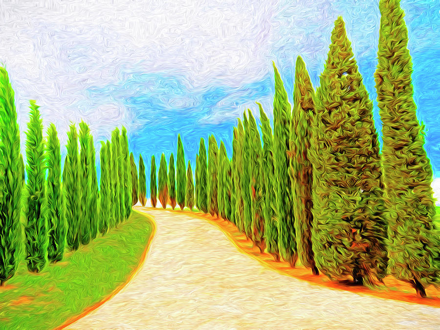 Cypress-lined Tuscan Road Digital Art by Dennis Cox