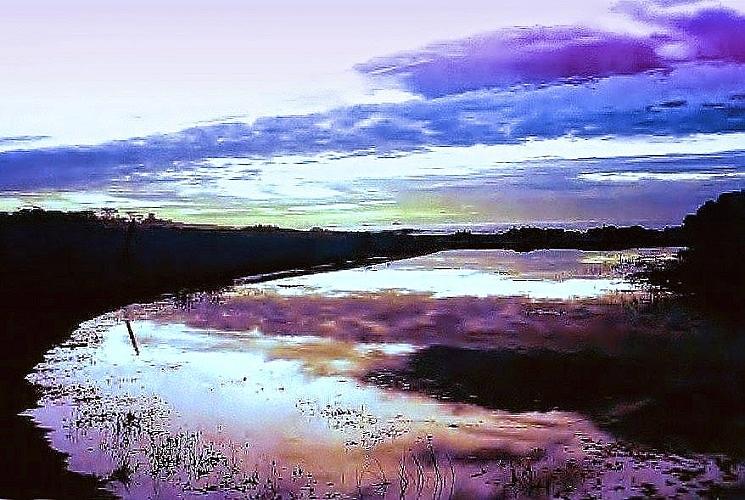 Cypress Point Photograph By Eric Winrow | Fine Art America