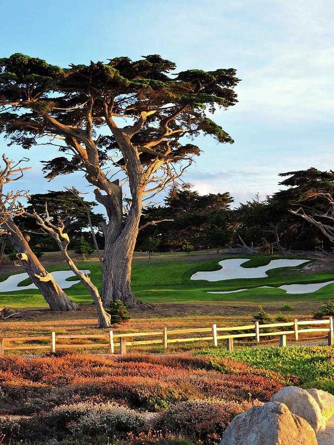 Cypress Point Golf Photograph by Connor Beekman