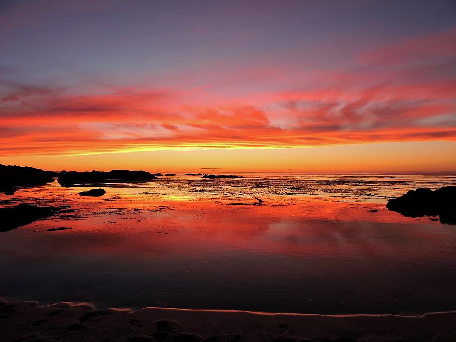 Sunset Photograph - Cypress Point Sunset by Connor Beekman