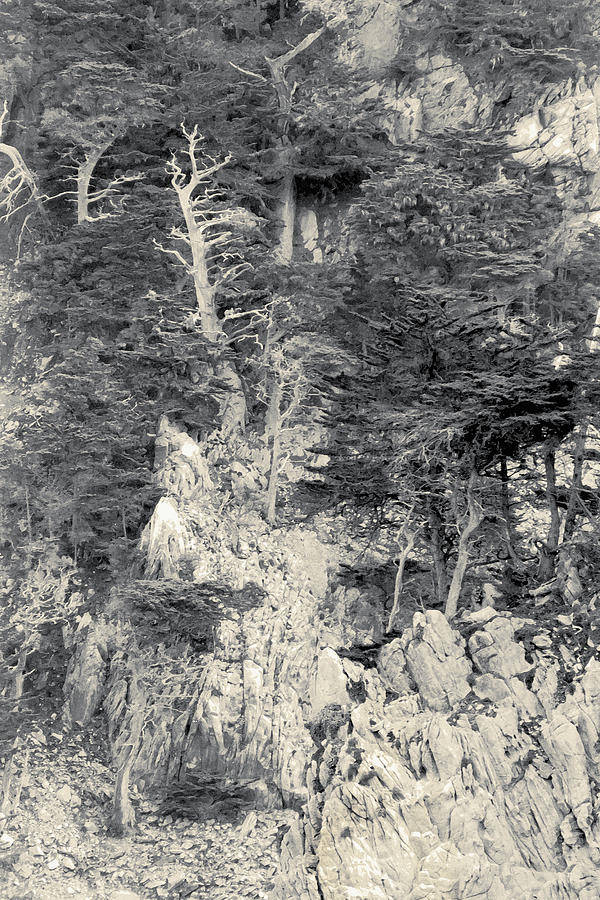 Cypress Strewn Cliff, Carmel Bay, Point Lobos, State Park Carmel, California Digital Art by Kathy Anselmo Cypress Strewn Cliff, Carmel Bay, Point Lobos, State Park Carmel, California Digital Art by Kathy Anselmo