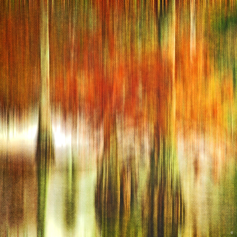 Cypress Swamp in the Fall - abstract square Photograph by Scott Pellegrin