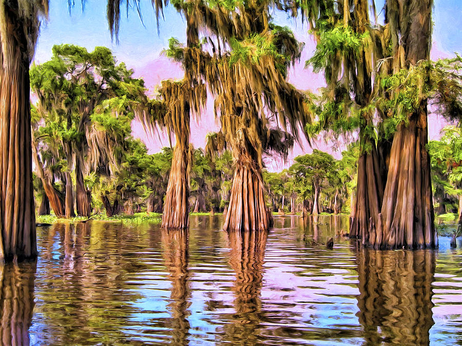 Cypress Trees in a Louisiana Bayou by Dominic Piperata