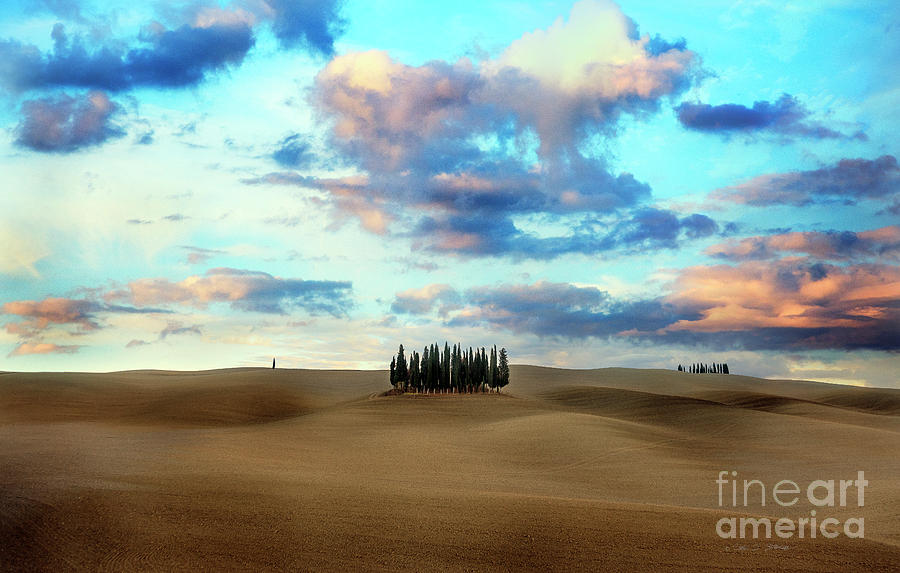 Cypress Trees of San Quirico dOrcia of Tuscany Photograph by Craig J Satterlee