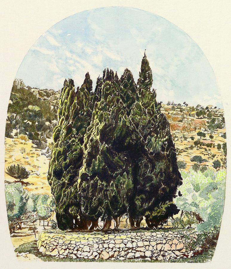 Cypress trees on Mount Carmel Painting by Sue Podger