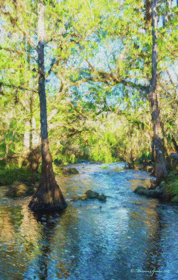 Cypress Trees On The River Photograph by Marvin Spates