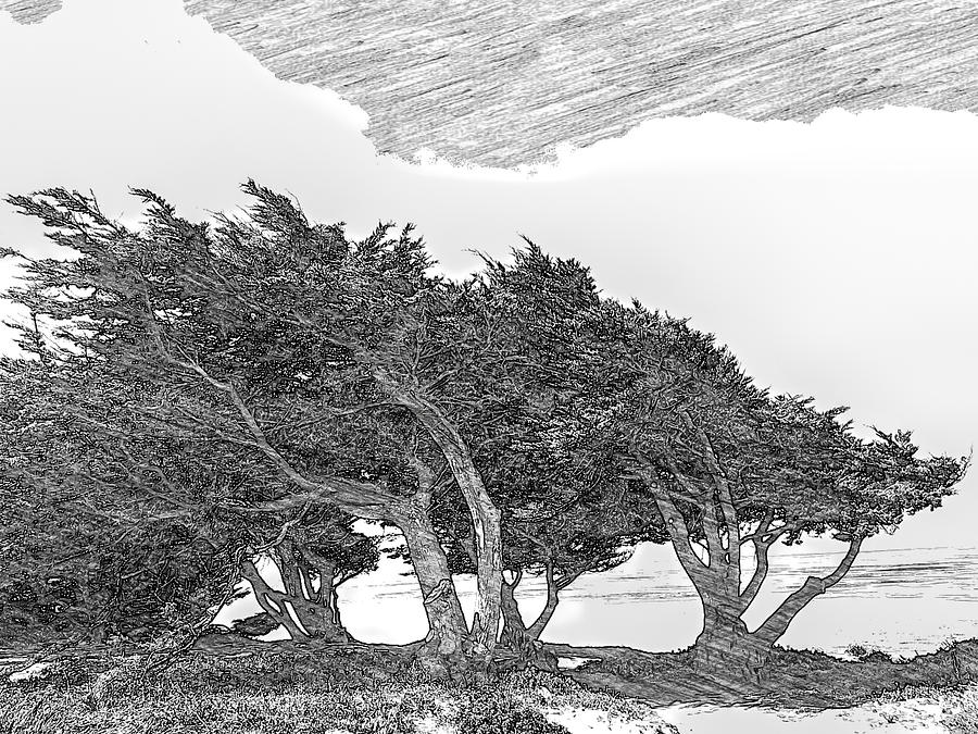 Cypresses Digital Art by Jonathan Nguyen