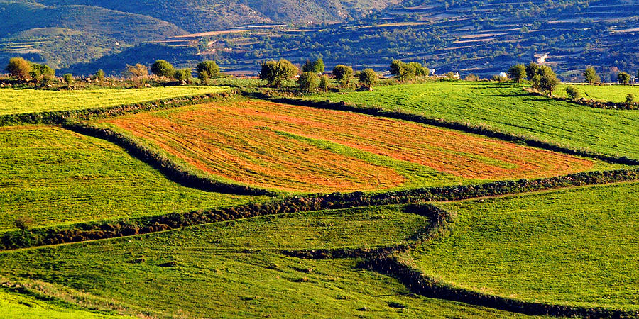 Cyprus Mila Landscape Photograph by John McKinlay