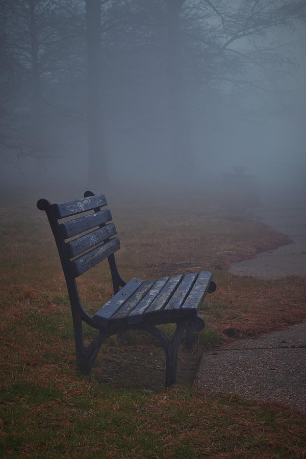 Quiet Bench on The Potomac Photograph by Mark Mitchell