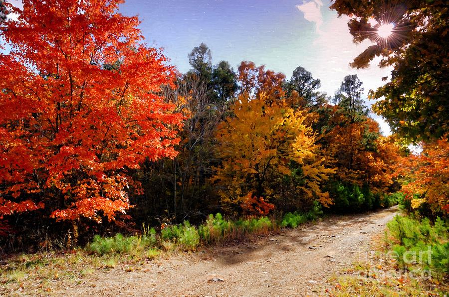Fall Painting - d -  Ouachita National Forest Talimena Scenic Highway Oklahoma by Silvio Ligutti