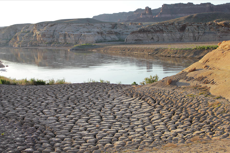 D12813 Cracked Mud Flats of Drying Lake Powell Photograph by Ed Cooper Photography