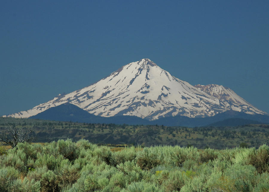 D3A6611 Mt. Shasta Photograph by Ed Cooper Photography