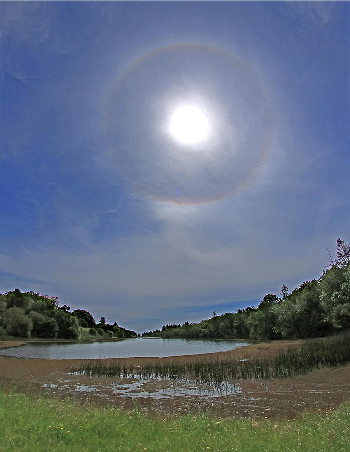 D6B6378 Sun Ring Halo Jack London Photograph by Ed Cooper Photography