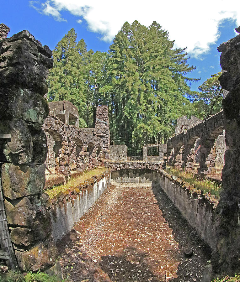 D7B6371 Jack London Wolf House Reflecting Pool Ruins Photograph by Ed Cooper Photography